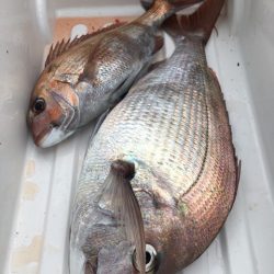 第二八坂丸 釣果