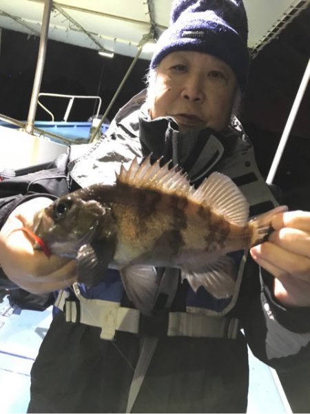 ヤザワ渡船 釣果