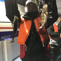 ヤザワ渡船 釣果