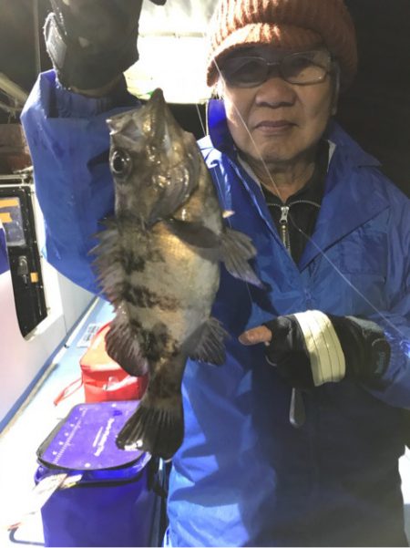 ヤザワ渡船 釣果