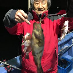ヤザワ渡船 釣果