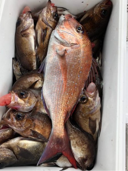 豊和丸 釣果