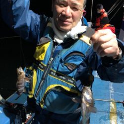 ヤザワ渡船 釣果