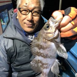 ヤザワ渡船 釣果