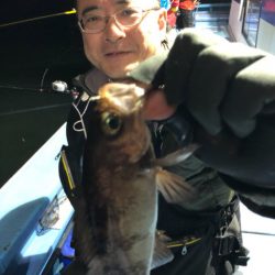 ヤザワ渡船 釣果