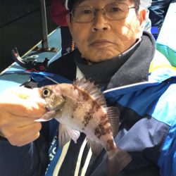 ヤザワ渡船 釣果