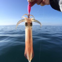 「LaGooN」蒼陽丸 日和号 釣果