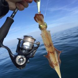 「LaGooN」蒼陽丸 日和号 釣果