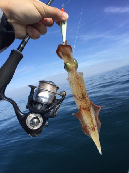 「LaGooN」蒼陽丸 日和号 釣果