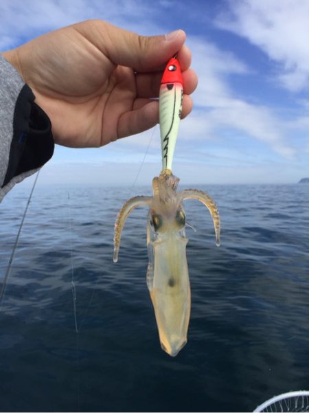 「LaGooN」蒼陽丸 日和号 釣果