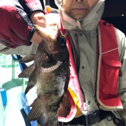 ヤザワ渡船 釣果