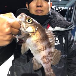 ヤザワ渡船 釣果