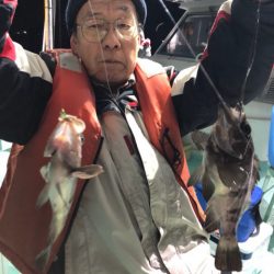 ヤザワ渡船 釣果