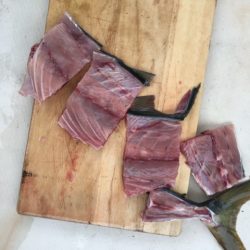 末広丸(熊本) 釣果