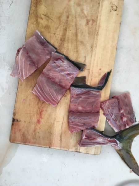 末広丸(熊本) 釣果