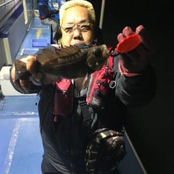 ヤザワ渡船 釣果