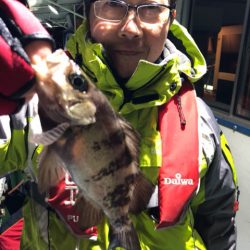 ヤザワ渡船 釣果