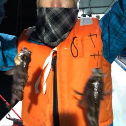 ヤザワ渡船 釣果