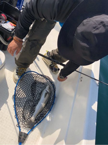 「LaGooN」蒼陽丸 日和号　 釣果