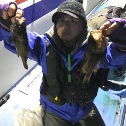 ヤザワ渡船 釣果