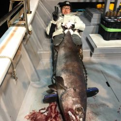 ＴＡＲＯＭＡＲＵ 釣果