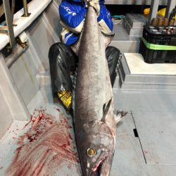 ＴＡＲＯＭＡＲＵ 釣果