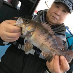 ヤザワ渡船 釣果