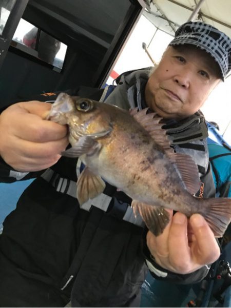 ヤザワ渡船 釣果