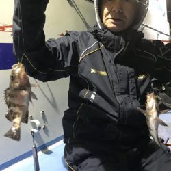ヤザワ渡船 釣果
