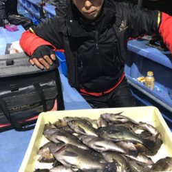 ヤザワ渡船 釣果