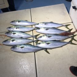 Monster Rush! 釣果