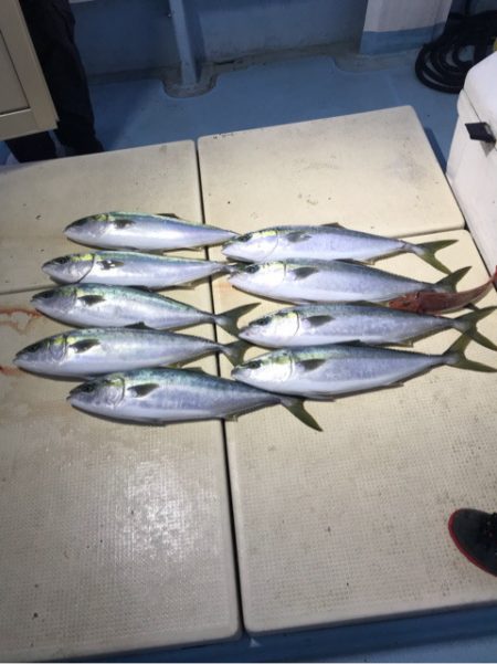 Monster Rush! 釣果