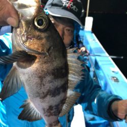 ヤザワ渡船 釣果