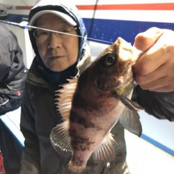 ヤザワ渡船 釣果