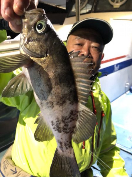 ヤザワ渡船 釣果