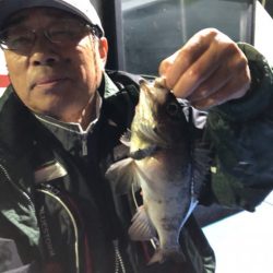 ヤザワ渡船 釣果