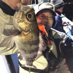 ヤザワ渡船 釣果