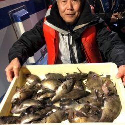 ヤザワ渡船 釣果