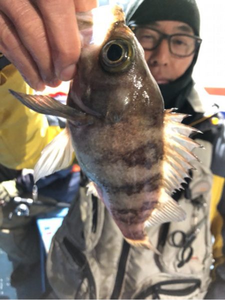 ヤザワ渡船 釣果