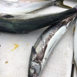 海楽隊 華栞丸 釣果