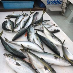 海楽隊 華栞丸 釣果