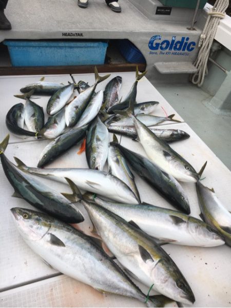 海楽隊 華栞丸 釣果