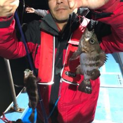 ヤザワ渡船 釣果