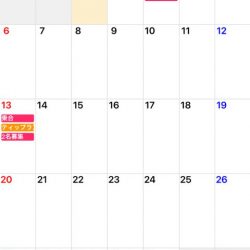 「LaGooN」蒼陽丸 日和号 釣果