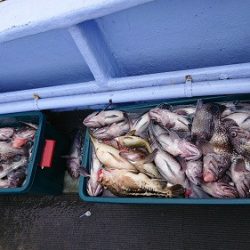 小樽港遊漁船SHAKE 釣果