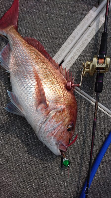 ARCADIAⅡ (アルカディアⅡ) 釣果