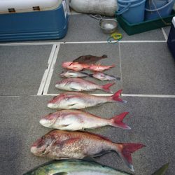 ARCADIAⅡ (アルカディアⅡ) 釣果