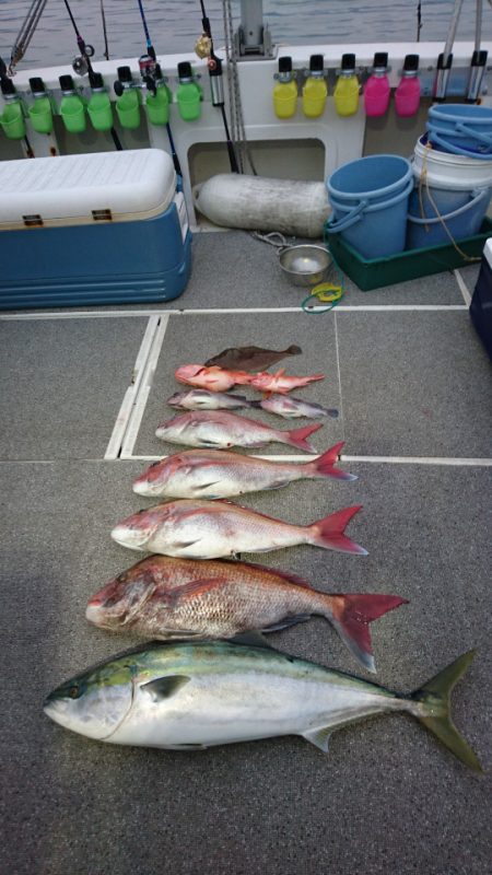 ARCADIAⅡ (アルカディアⅡ) 釣果