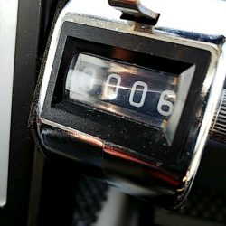 タイラバ遊漁船 ワンピース 釣果