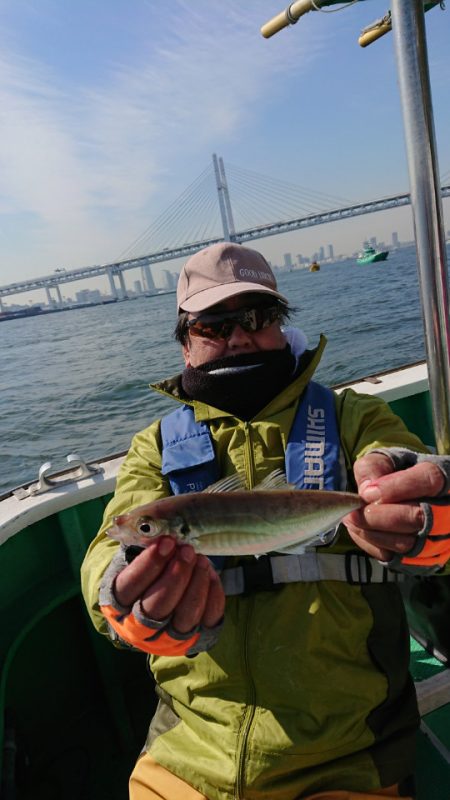 金沢八景鴨下丸 釣果